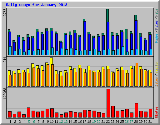 Daily usage for January 2013