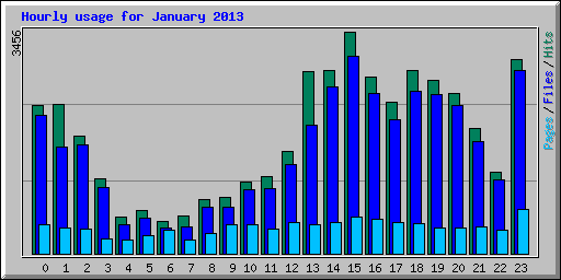 Hourly usage for January 2013