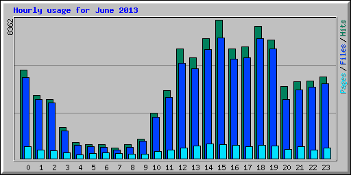 Hourly usage for June 2013