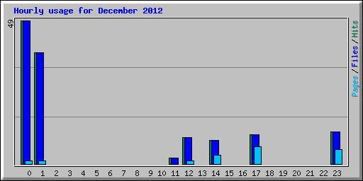 Hourly usage for December 2012