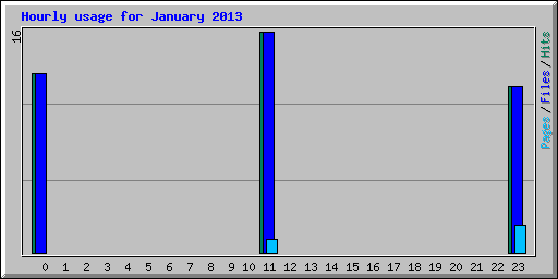 Hourly usage for January 2013